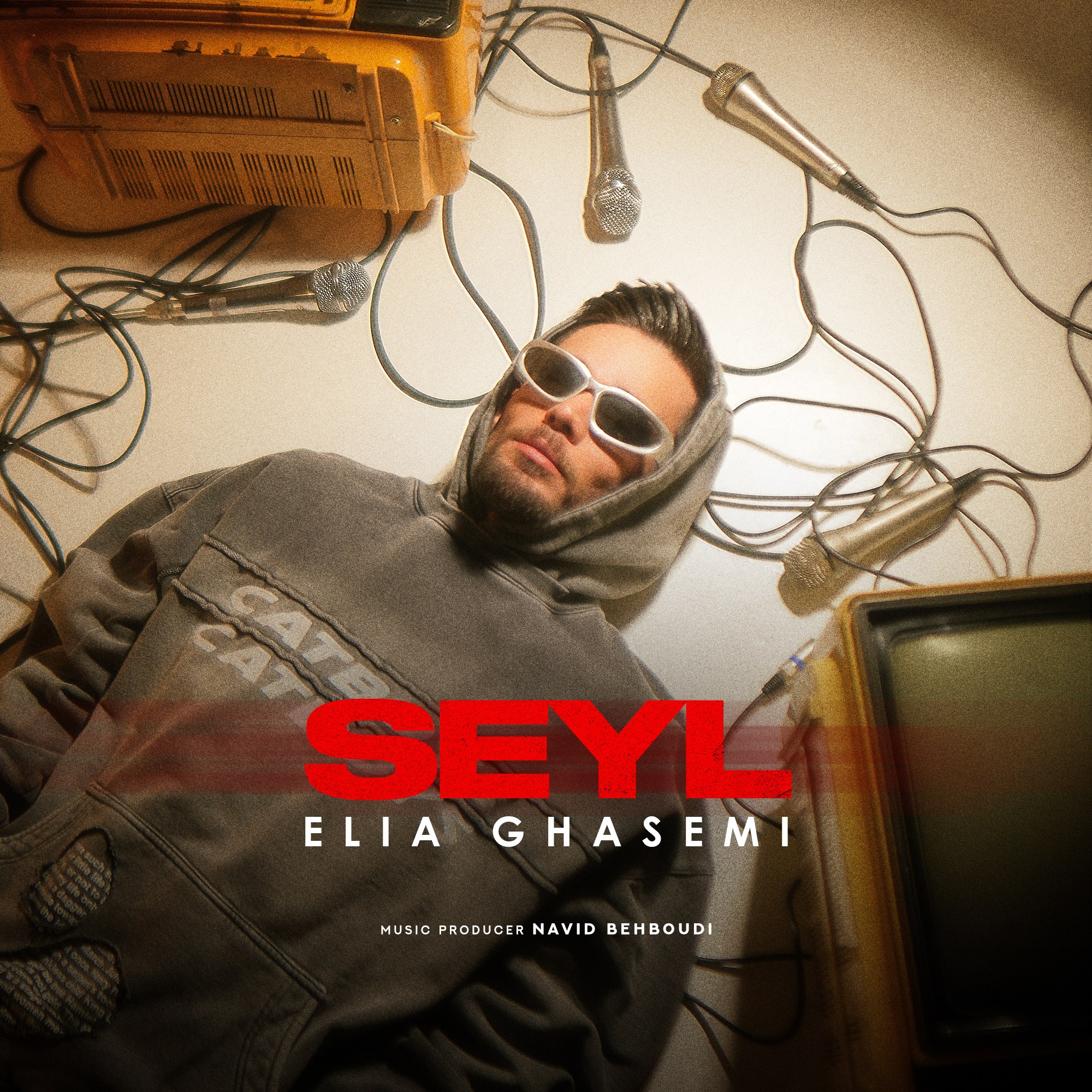 ایلیا قاسمی - سیل